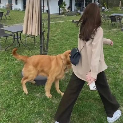 透析